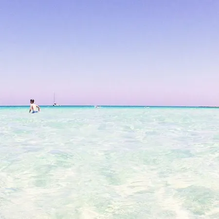 Bluamaranto San Vito Lo Capo