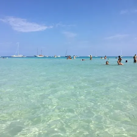 Bluamaranto San Vito Lo Capo